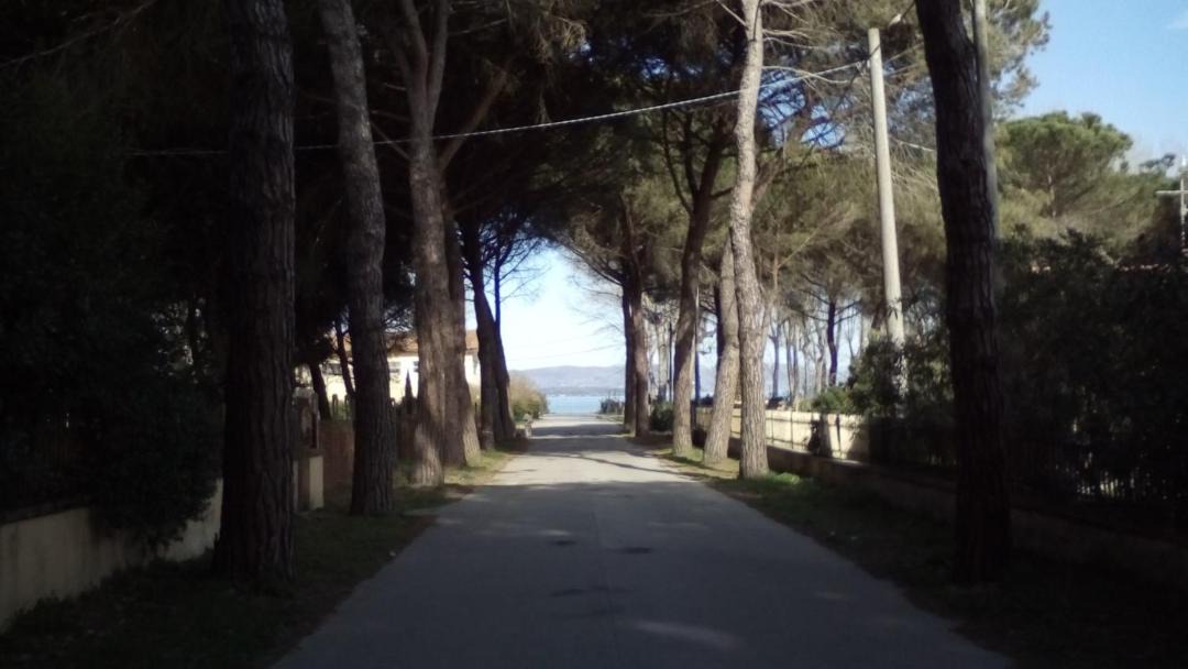 Photo of Buildings in Terontola