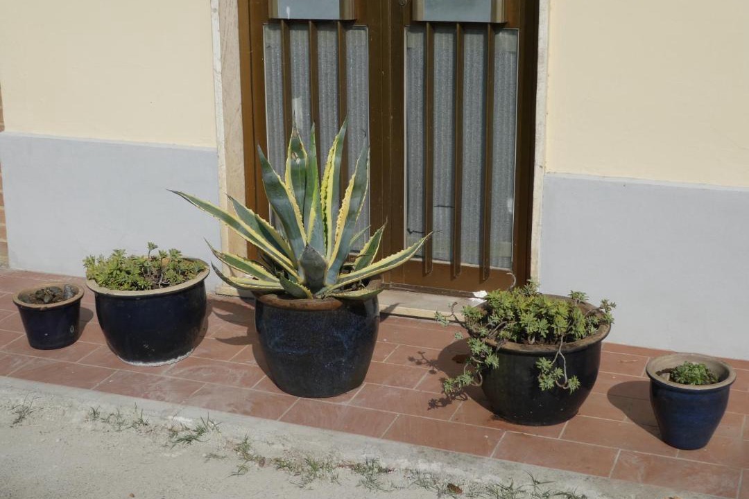 Photo of Others in Terontola