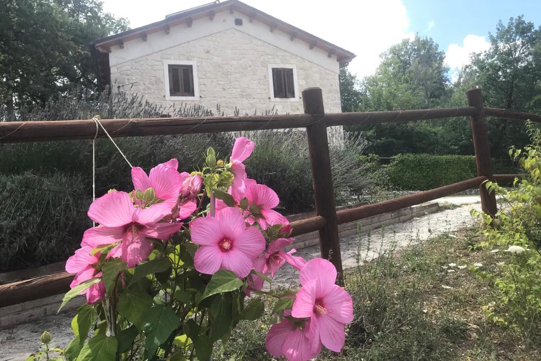 Photo of Others in Abbateggio