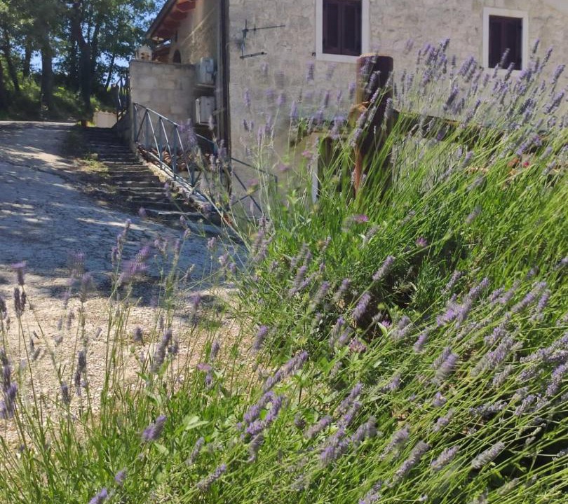 Photo of Others in Abbateggio