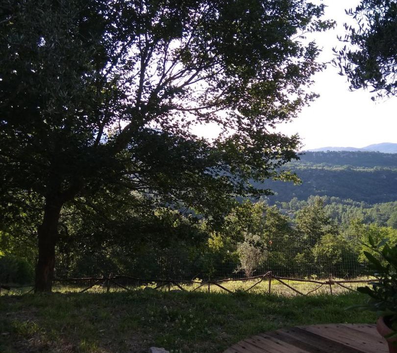 Photo of Others in Colli al Volturno