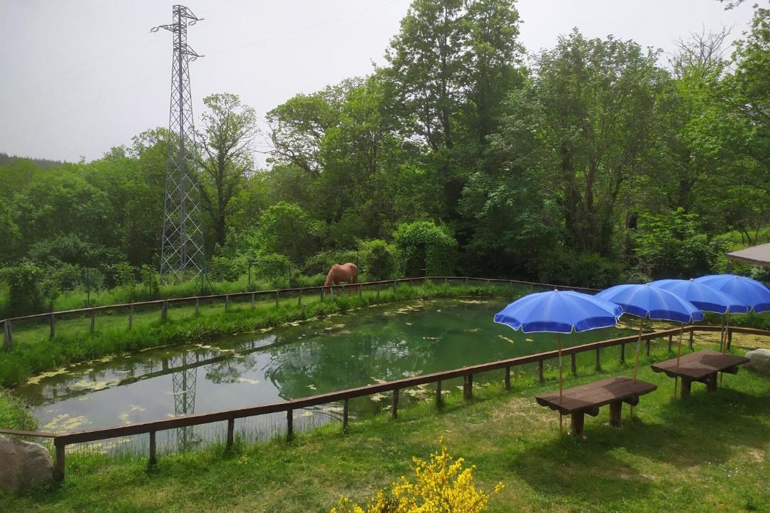 Photo of Others in Zagarise