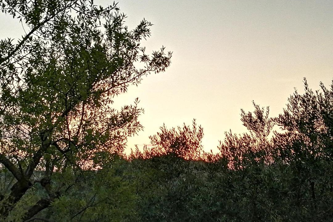 Photo of Others in Ariano Irpino