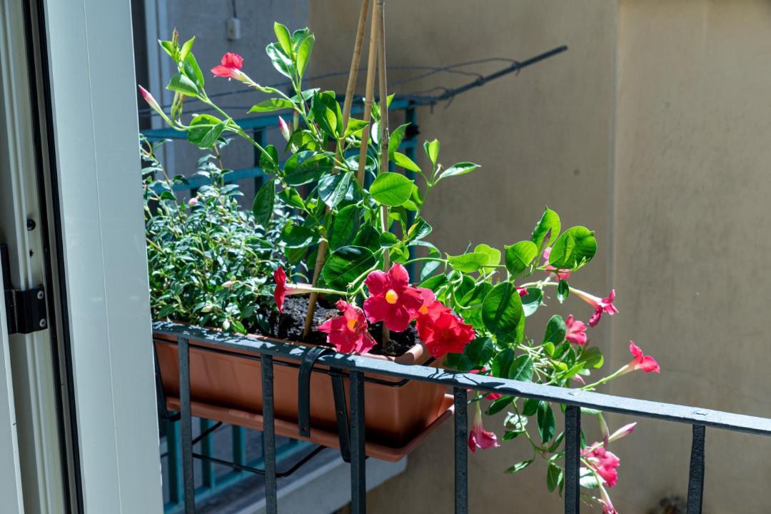Photo of Patio Balcony in Caiazzo