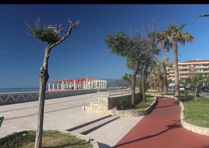 Photo of Others in Catanzaro Lido