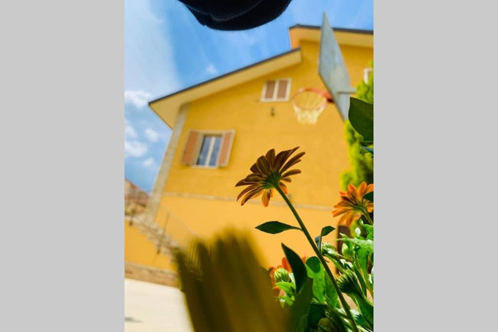 Photo of Others in Miglianico