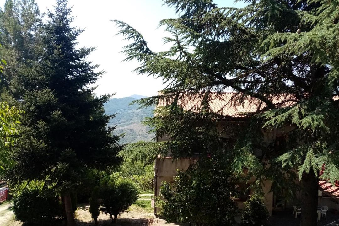 Photo of Others in Guardiabruna
