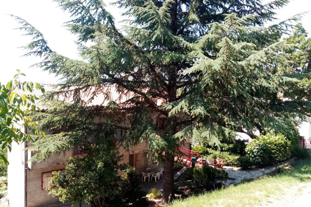 Photo of Others in Guardiabruna