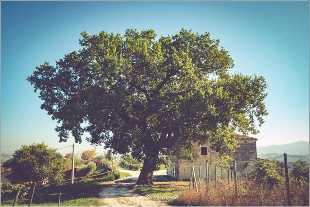 Photo of Others in Guardiagrele