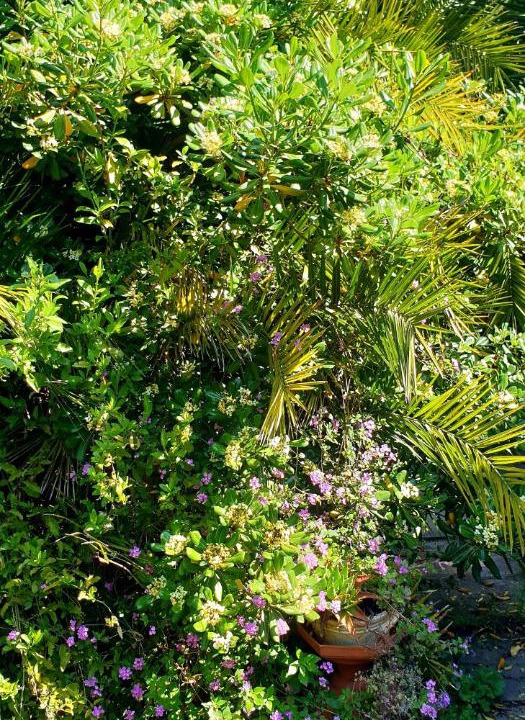 Photo of Outdoor in Trecase