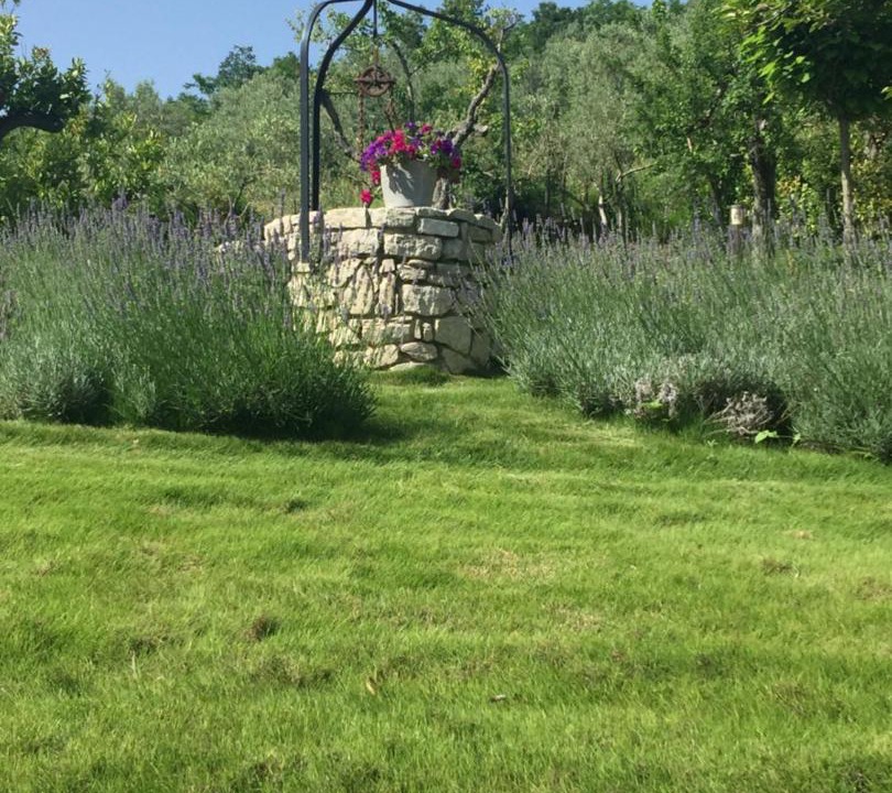 Photo of Outdoor in Guardia Sanframondi