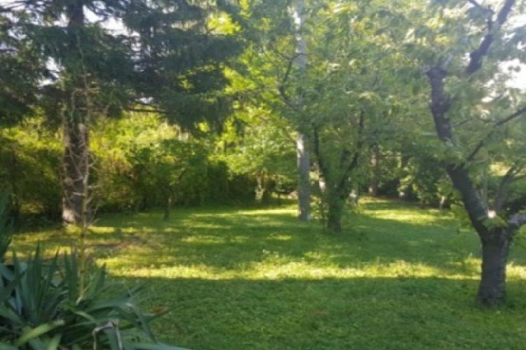 Photo of Outdoor in Piamaggio