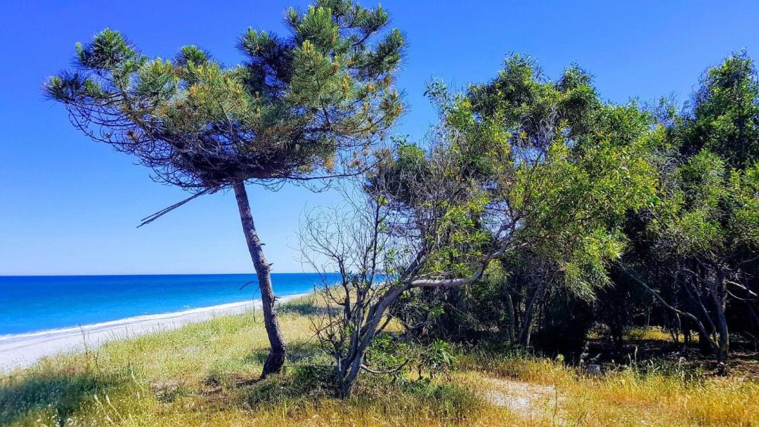 Photo of Outdoor in Sant'Andrea Apostolo dello Ionio