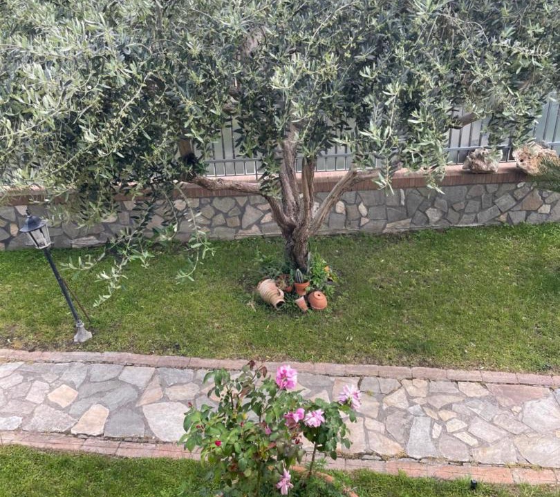 Photo of Others in Sant'Anastasia
