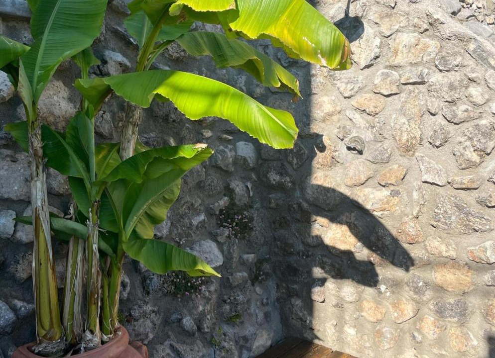 Photo of Others in Laurito
