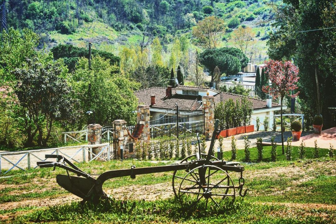 Photo of Others in Cavriglia