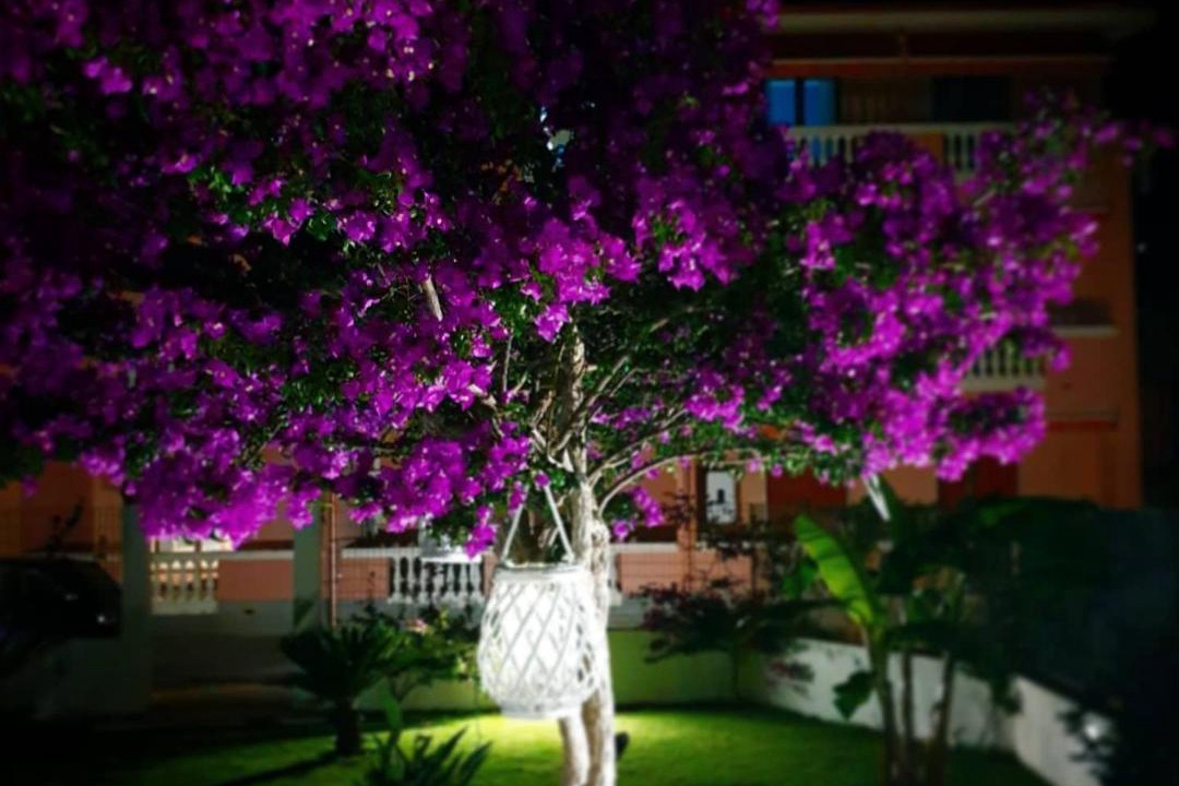 Photo of Others in Cetraro