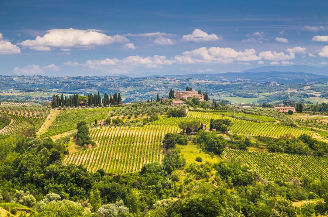 Photo of Others in San Quirico d'Orcia