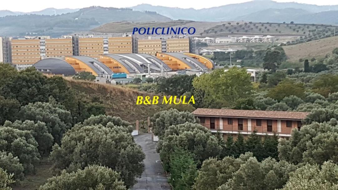 Photo of Others in Catanzaro