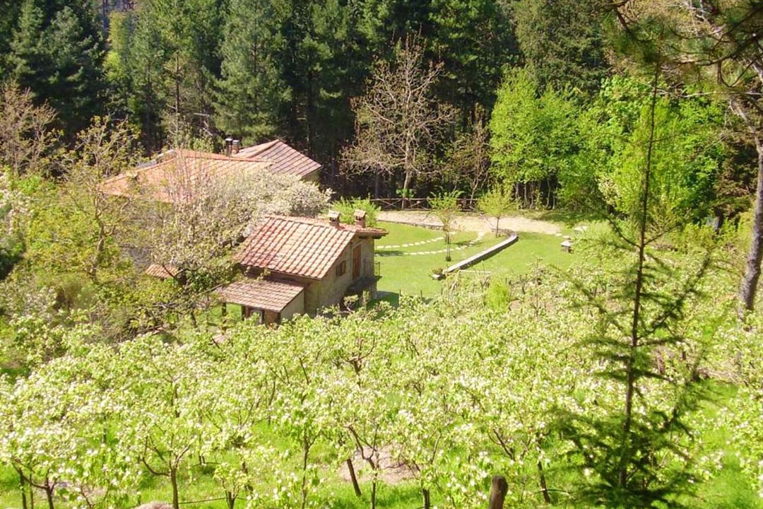 Photo of Others in Moggiana