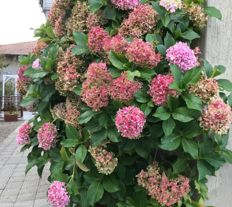Photo of Outdoor in Chiusi della Verna