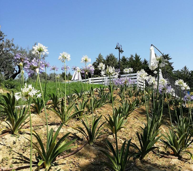Photo of Outdoor in Castorano