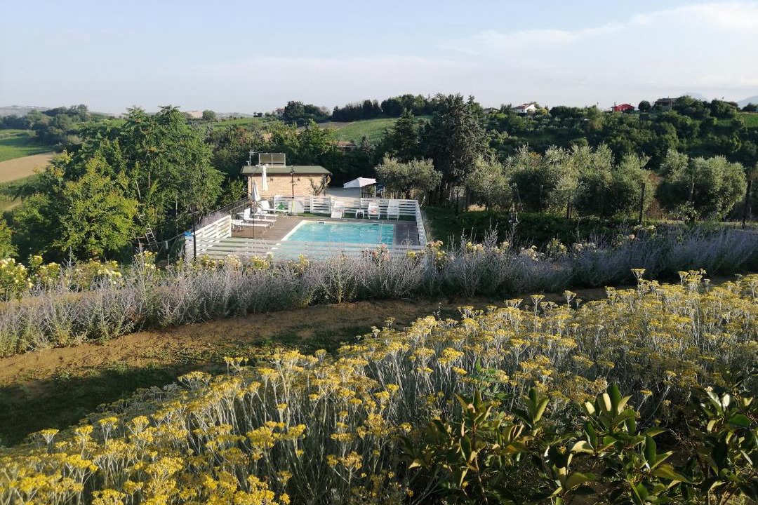 Photo of Others in Castorano