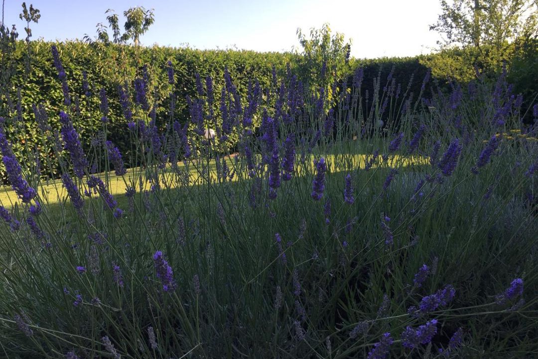 Photo of Outdoor in Capolona