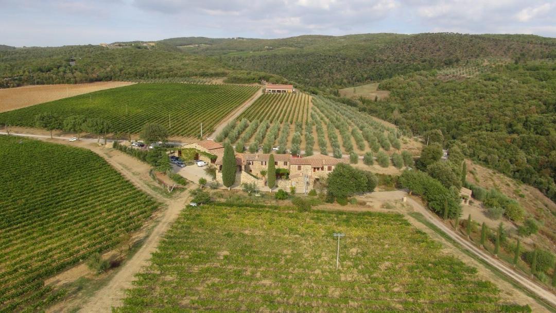 Photo of Others in Montalcino