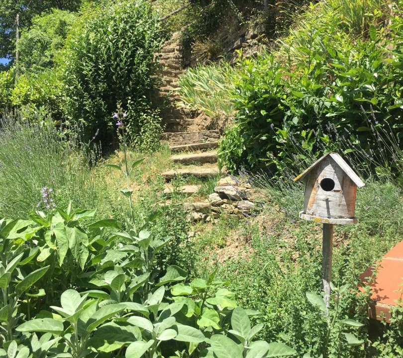 Photo of Outdoor in Capolona