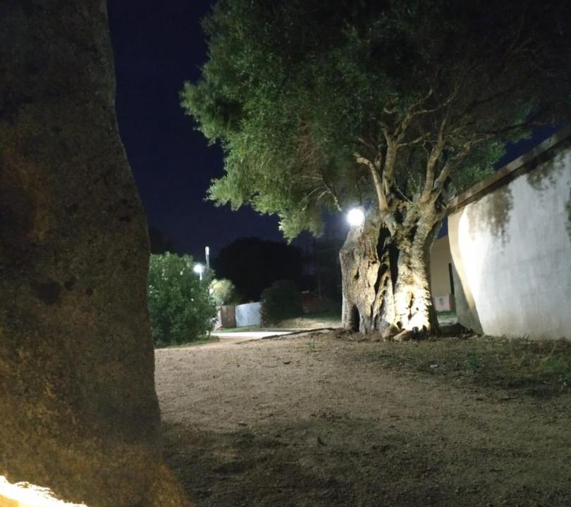 Photo of Others in Capannaccia