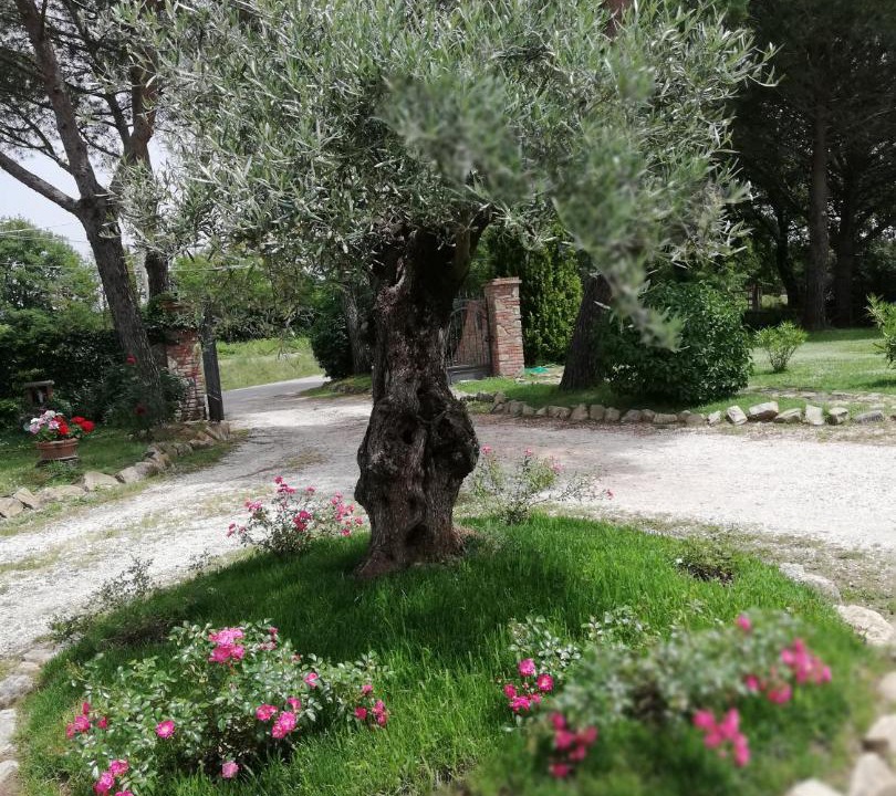 Photo of Others in Castiglione del Lago