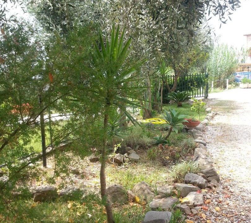 Photo of Others in San Mauro Cilento