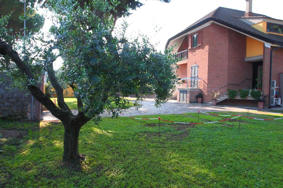 Photo of Buildings in Municipio VII