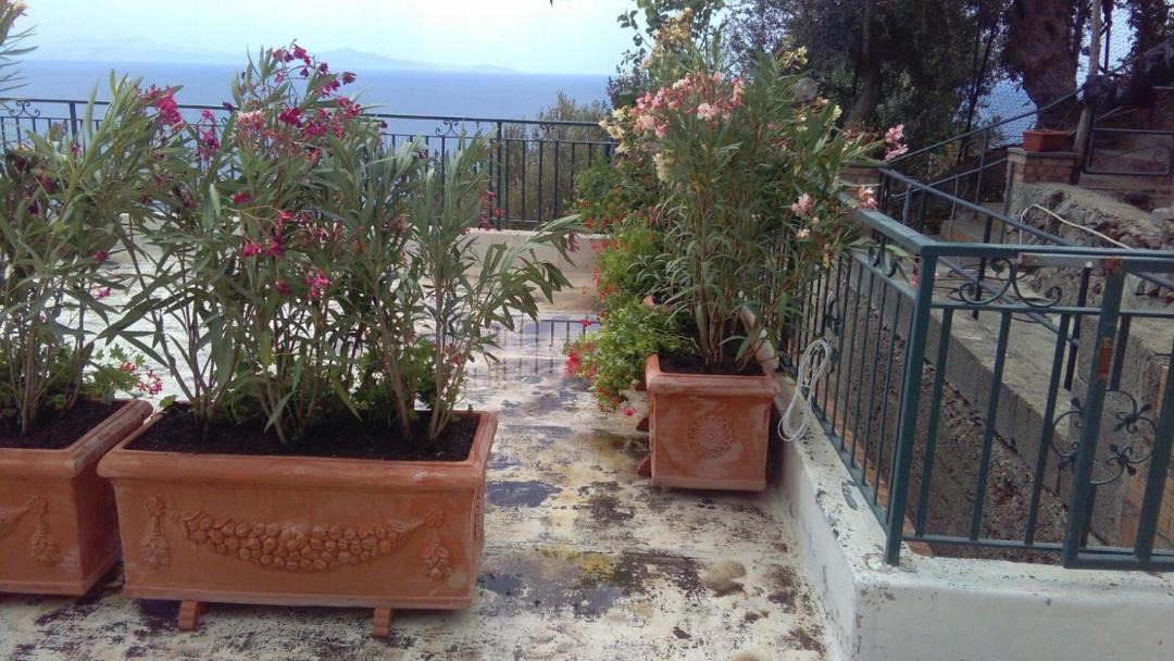 Photo of Others in Conca dei Marini