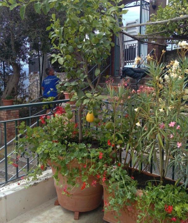 Photo of Others in Conca dei Marini