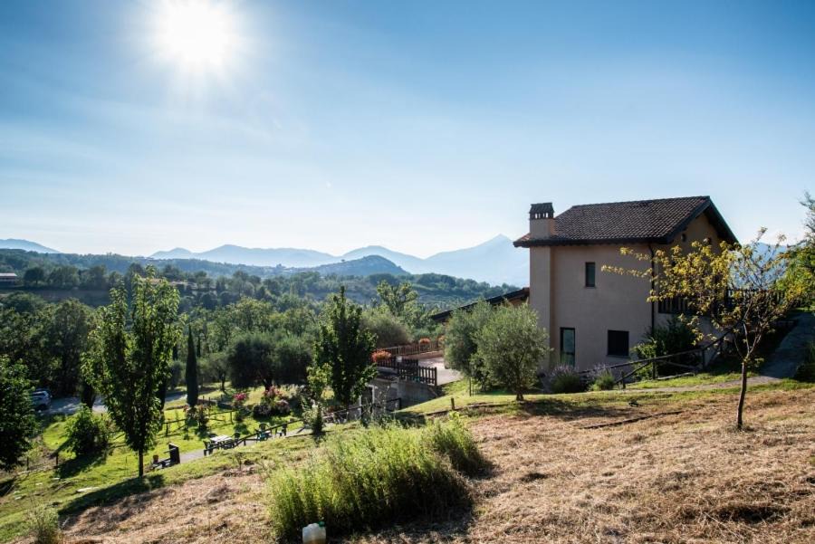 Photo of Buildings in Viggianello
