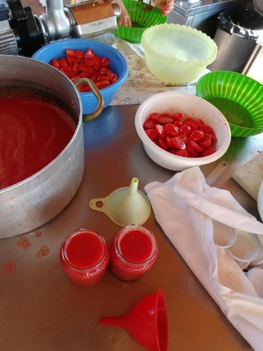 Photo of Kitchen in Amica