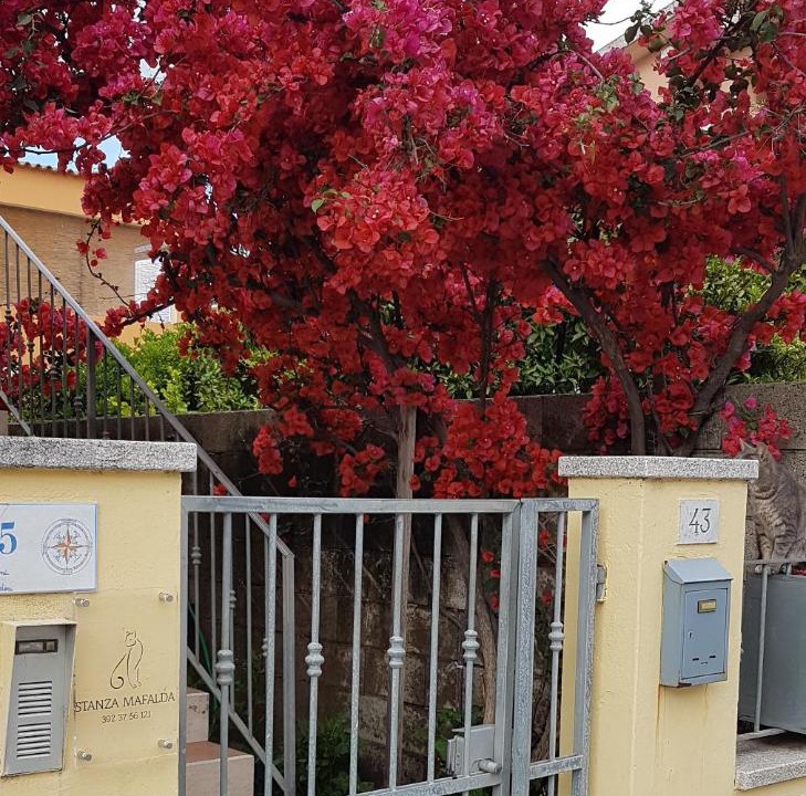 Photo of Buildings in Olbia