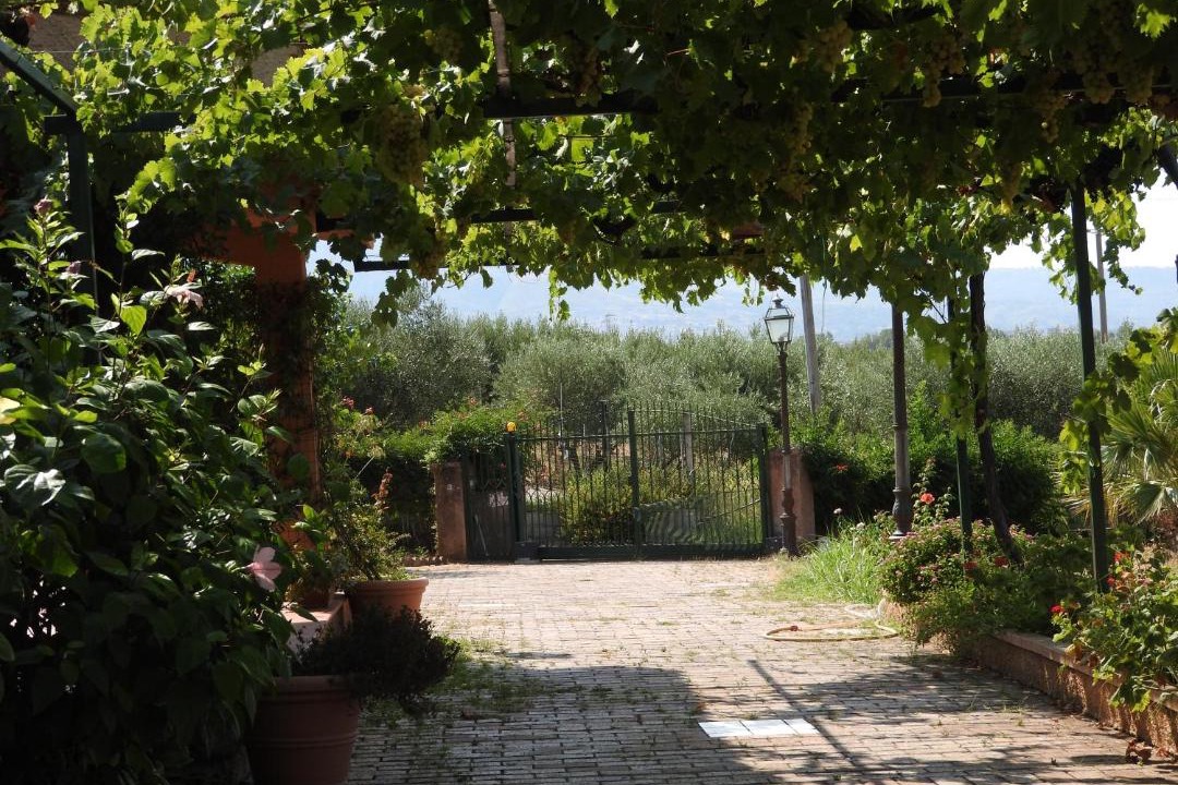 Photo of Others in Scalea