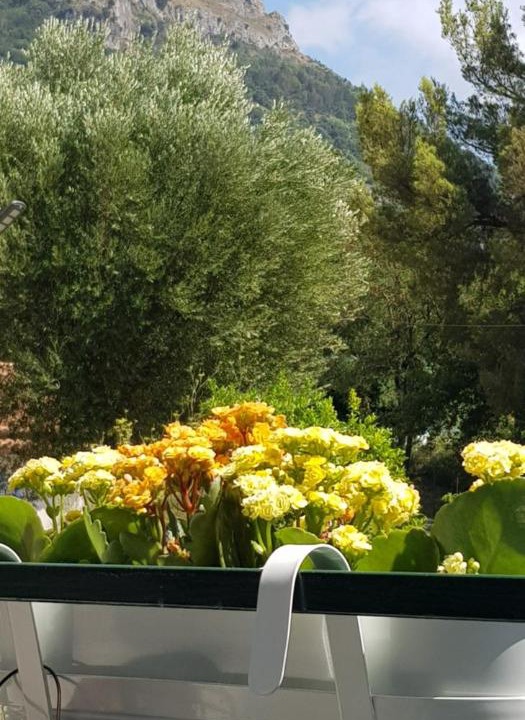 Photo of Others in Fiumicello Santa Venere