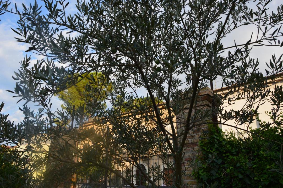 Photo of Buildings in Torre de' Passeri