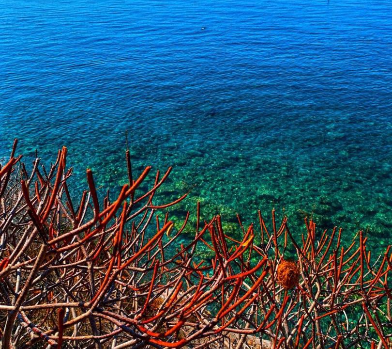 Photo of Outdoor in Cetraro