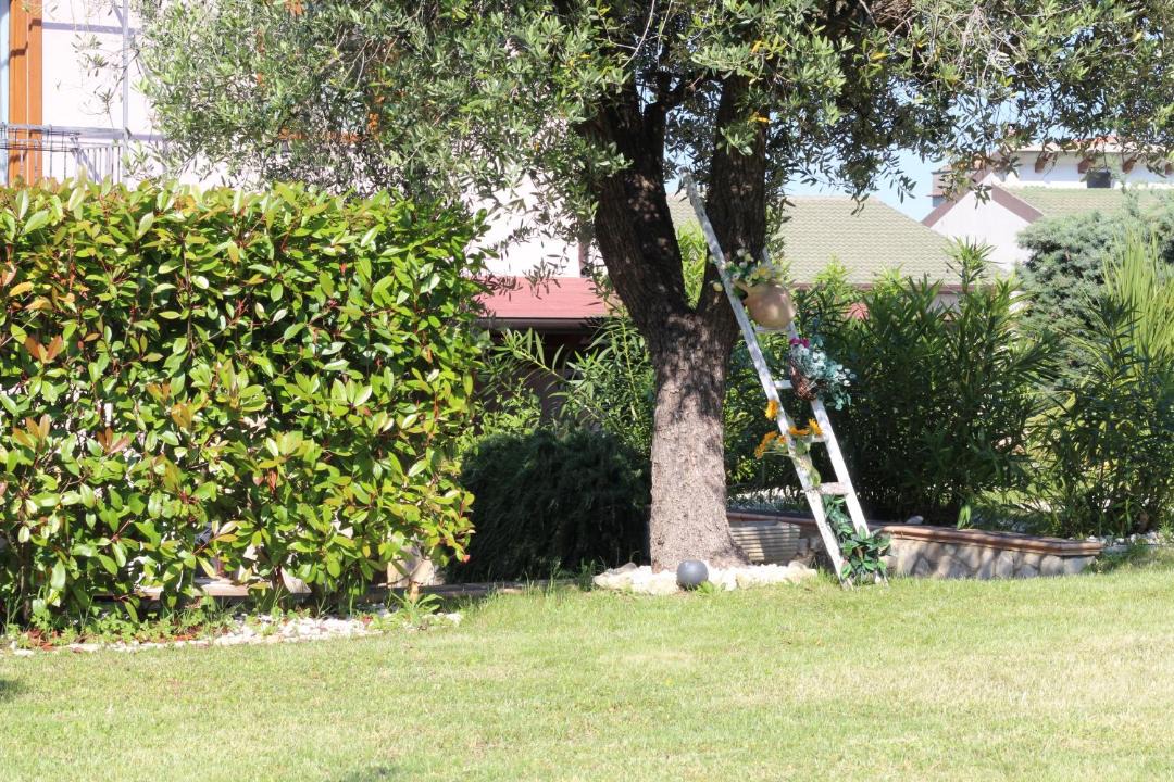 Photo of Others in Orsogna