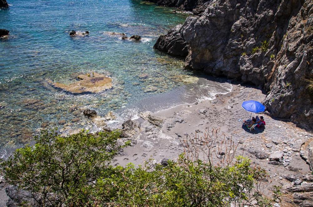 Photo of Others in Maratea