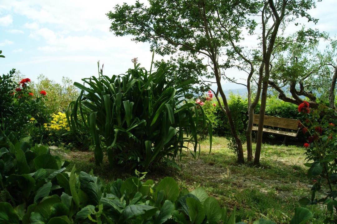 Photo of Others in Muro Lucano