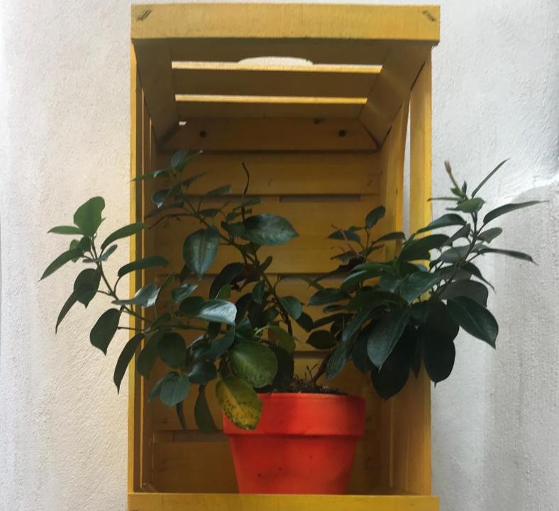 Photo of Others in Gragnano