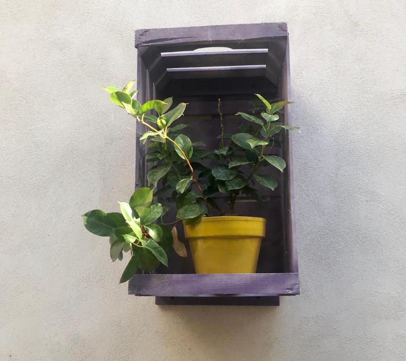 Photo of Others in Gragnano