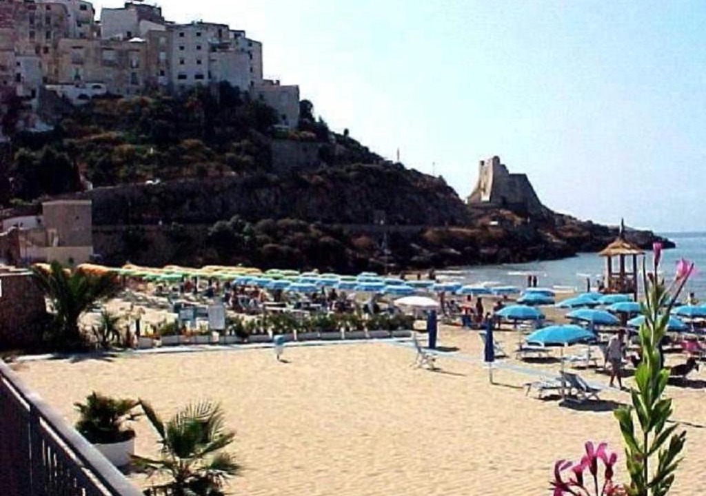 Photo of Others in Fondi