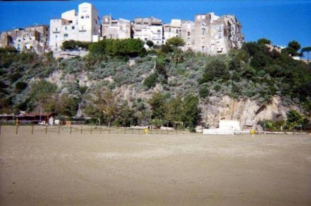 Photo of Others in Fondi